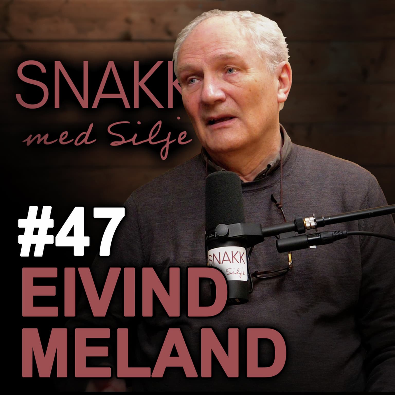 SmS #47 Eivind Meland om foreldrefremmedgjøring artwork