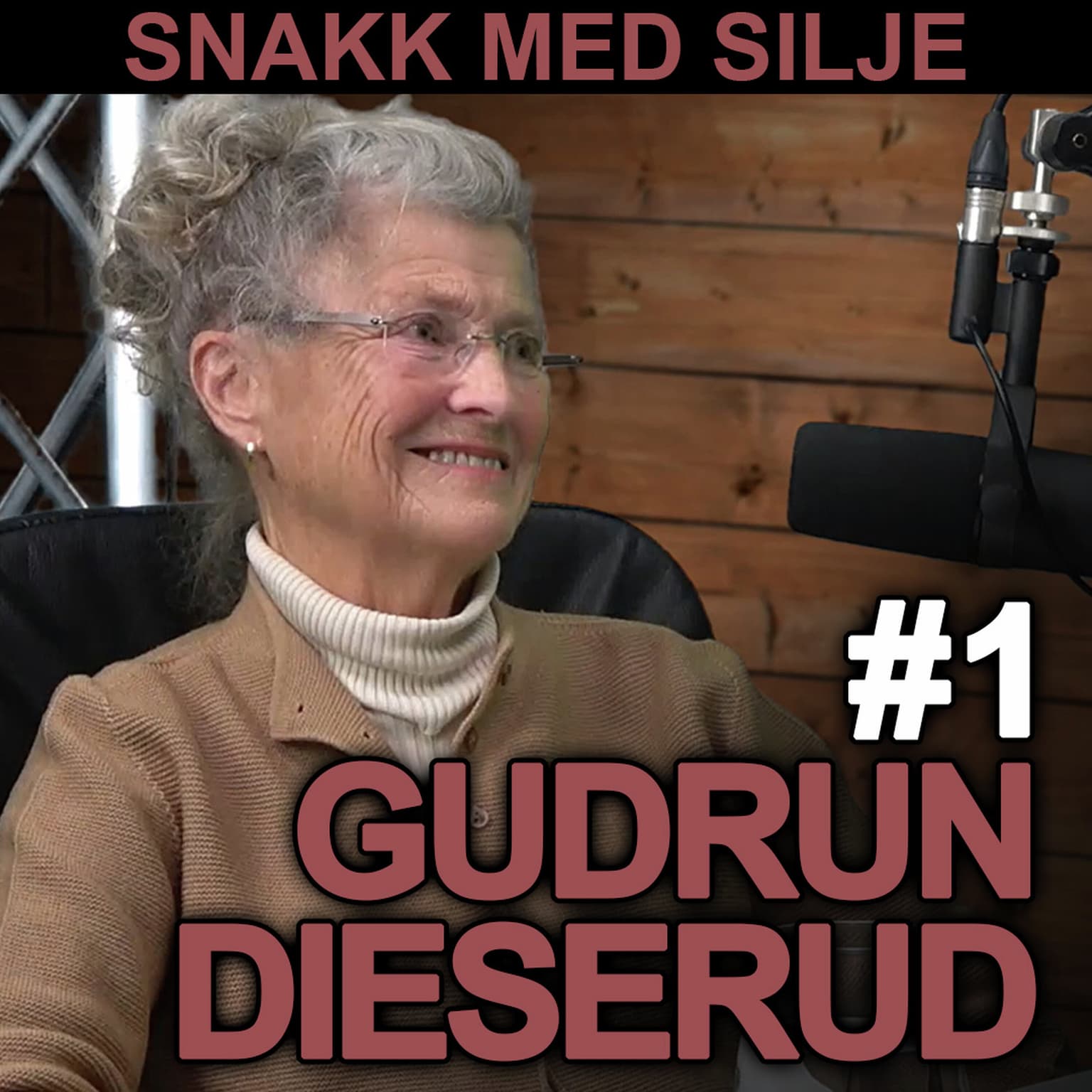 SmS #1 Gudrun Dieserud om selvmordsforebygging og Bærumsmodellen artwork