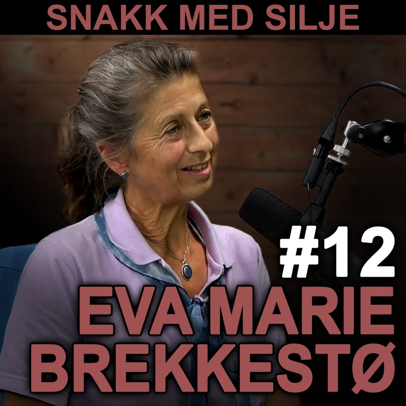 SmS #12 Eva Marie Brekkestø om sivilisasjoners vekst og fall i et klimaperspektiv artwork
