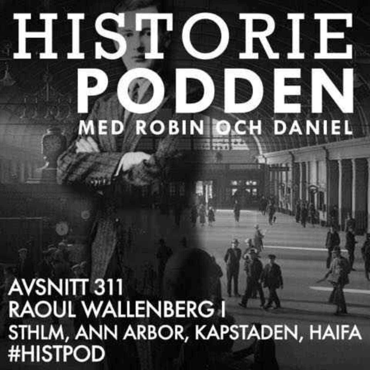 311. Raoul Wallenberg I. Stockholm, Ann Arbour, Kapstaden, Haifa artwork
