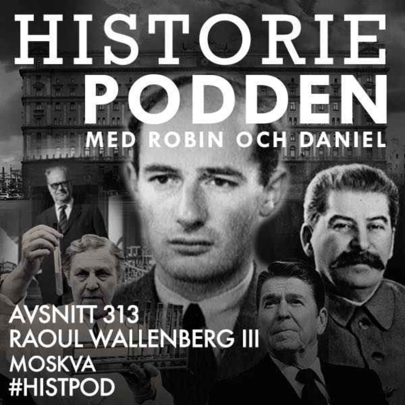 313. Raoul Wallenberg III: Moskva artwork