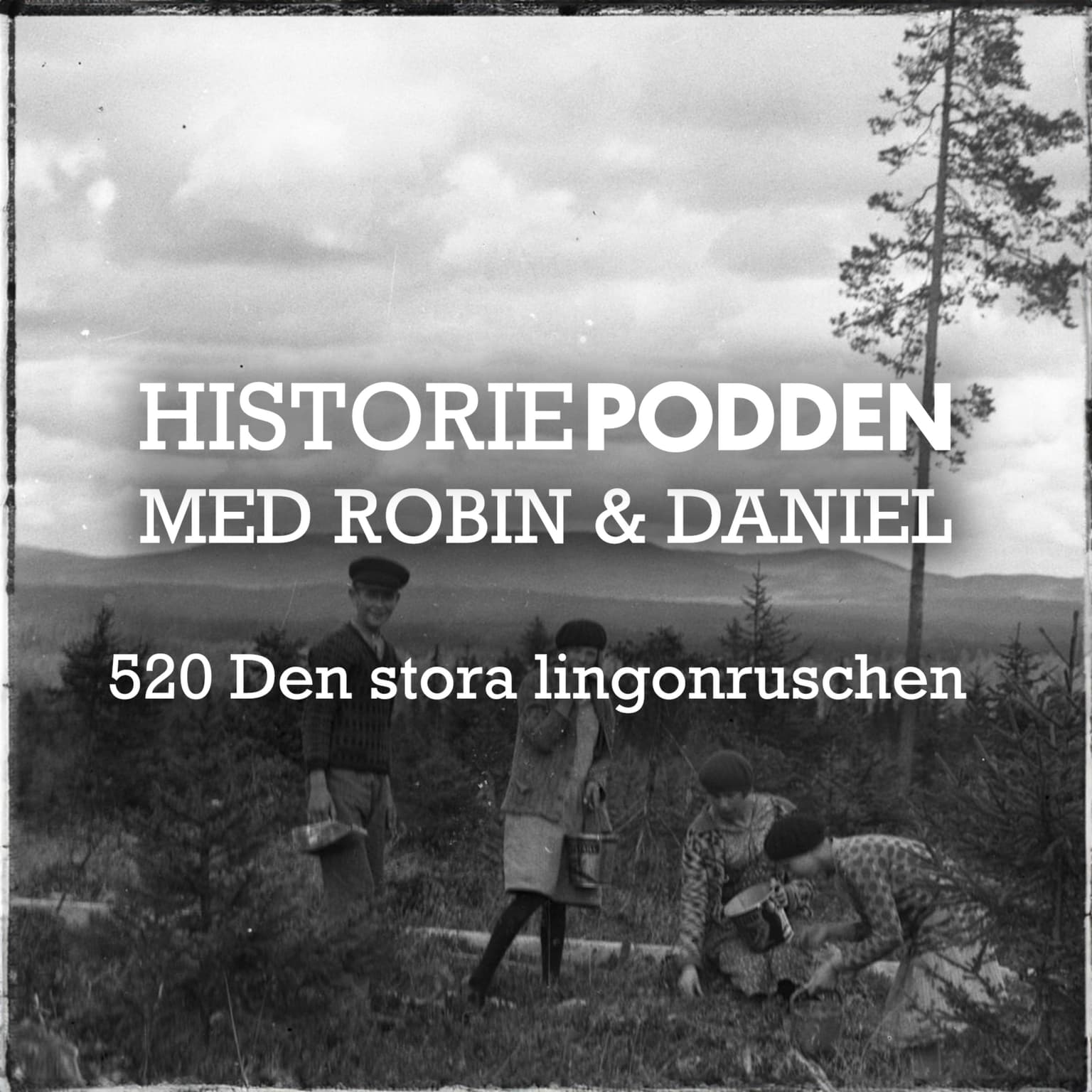 520. Den stora lingonruschen artwork