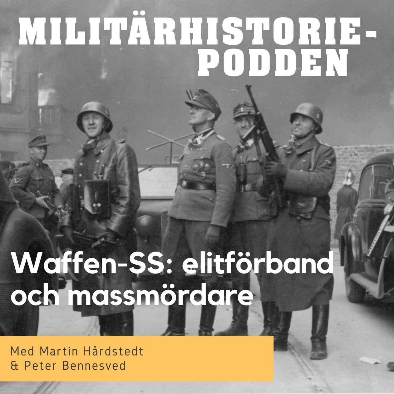 Waffen-SS: elitförband, krigsbrott & folkmord artwork