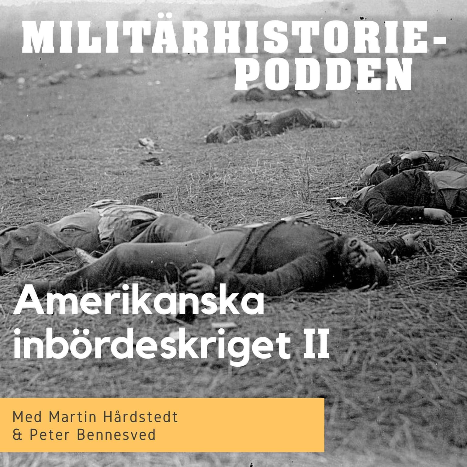 Amerikanska inbördeskriget II – Sydstaternas nederlag artwork
