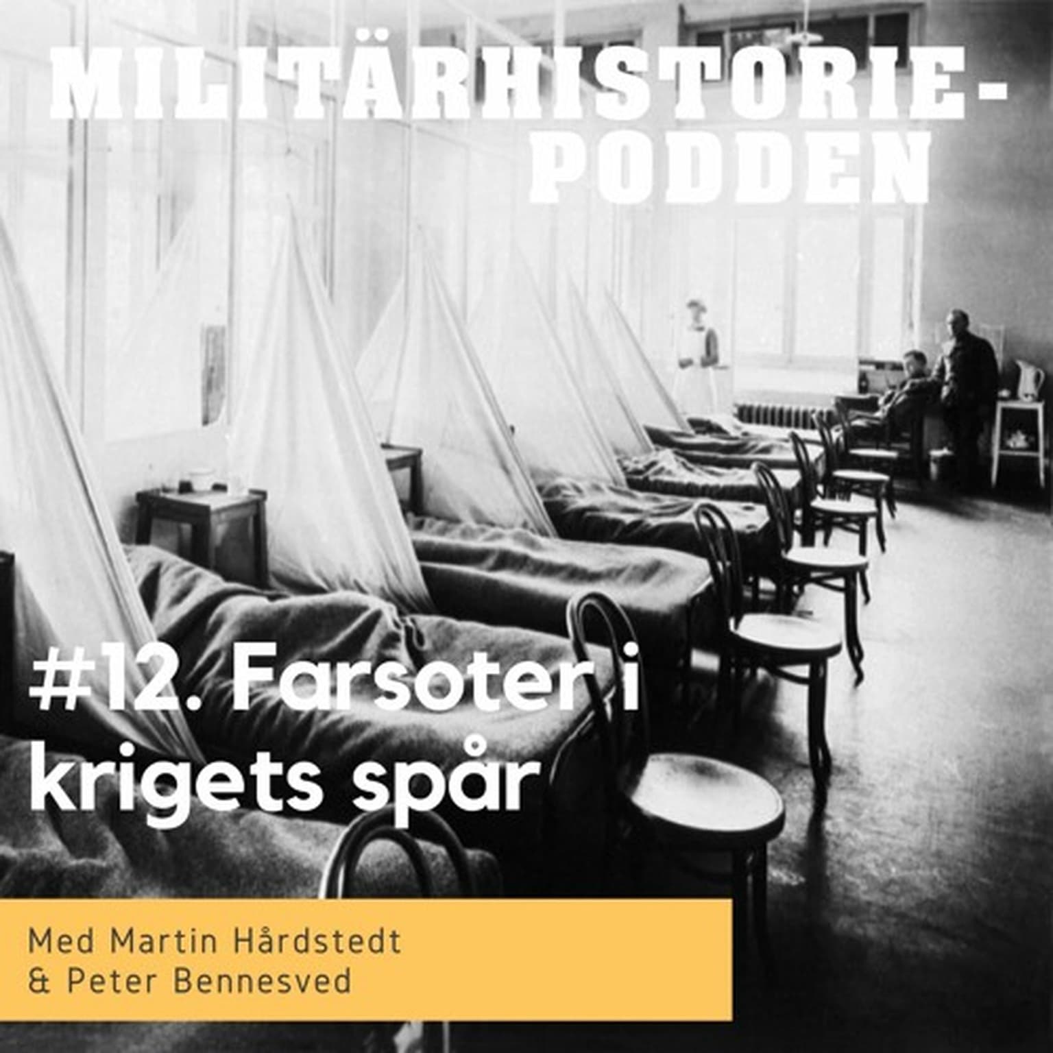 Smittor och farsoter i krigets spår artwork