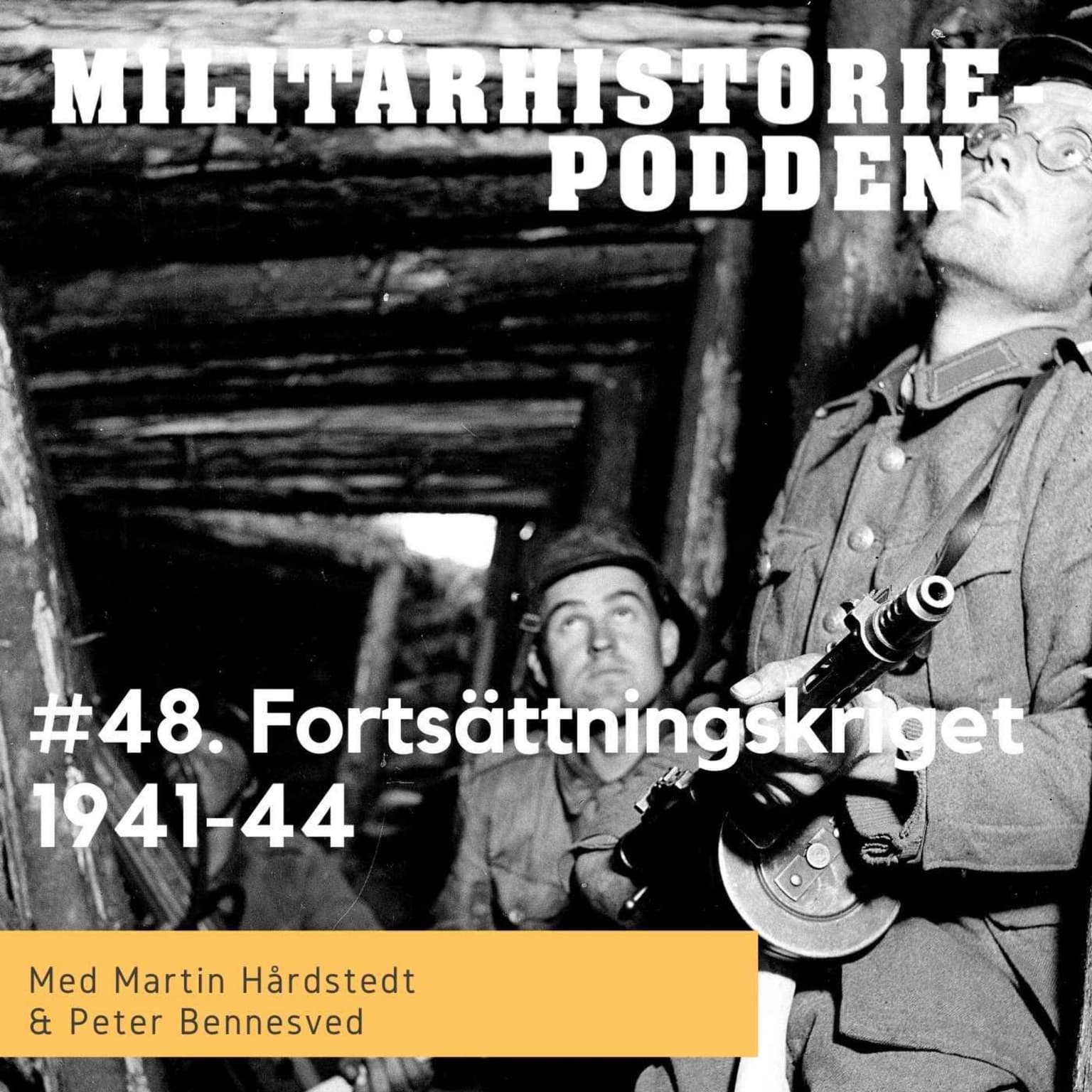 Fortsättningskriget – den finska alliansen med nazityskland artwork