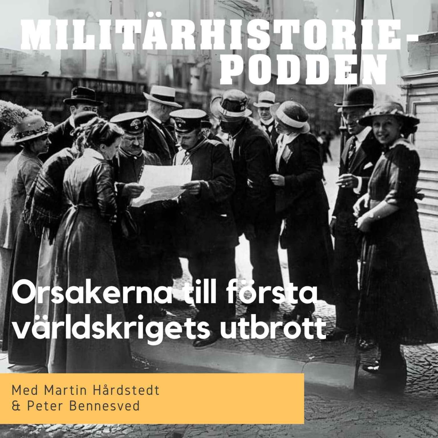 Orsakerna bakom första världskriget artwork