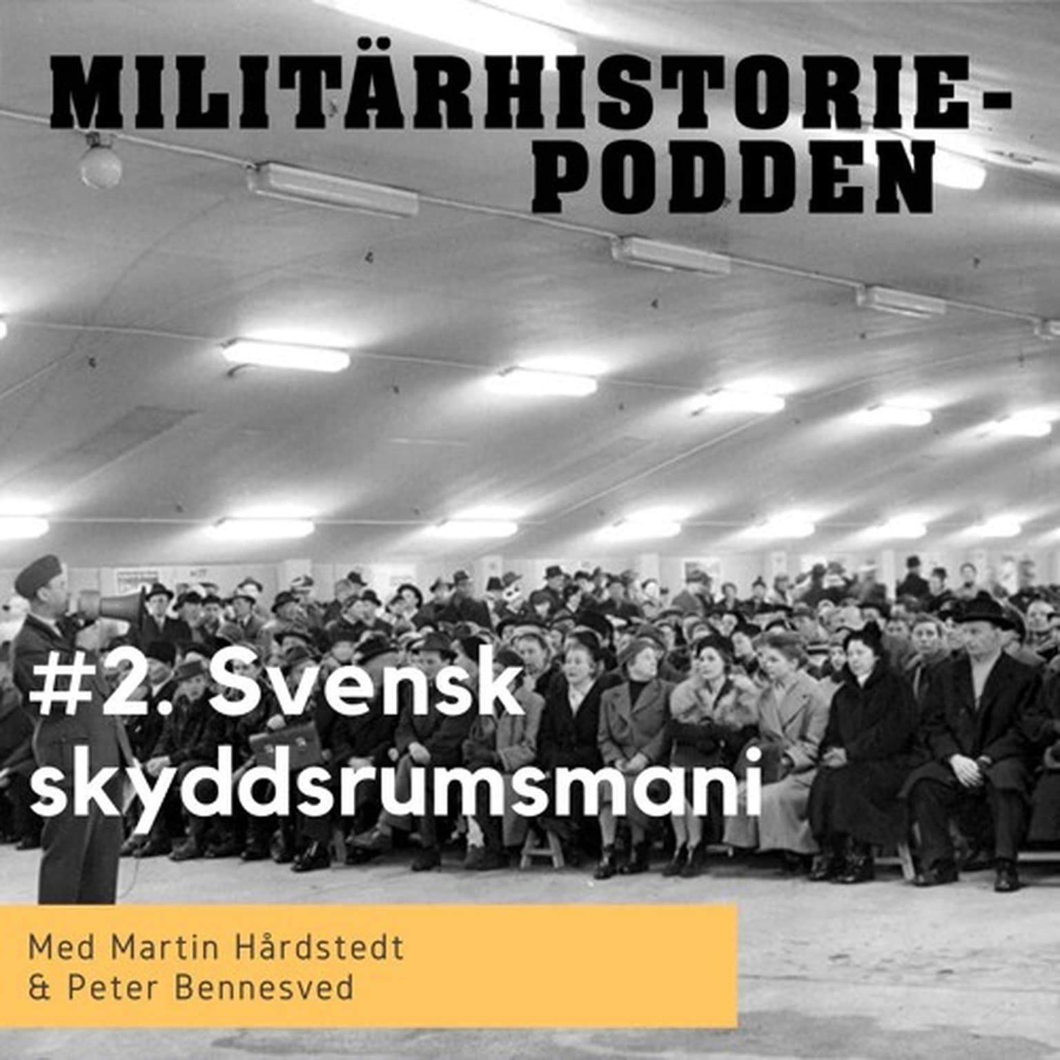 Därför byggde Sverige näst mest skyddsrum i världen artwork