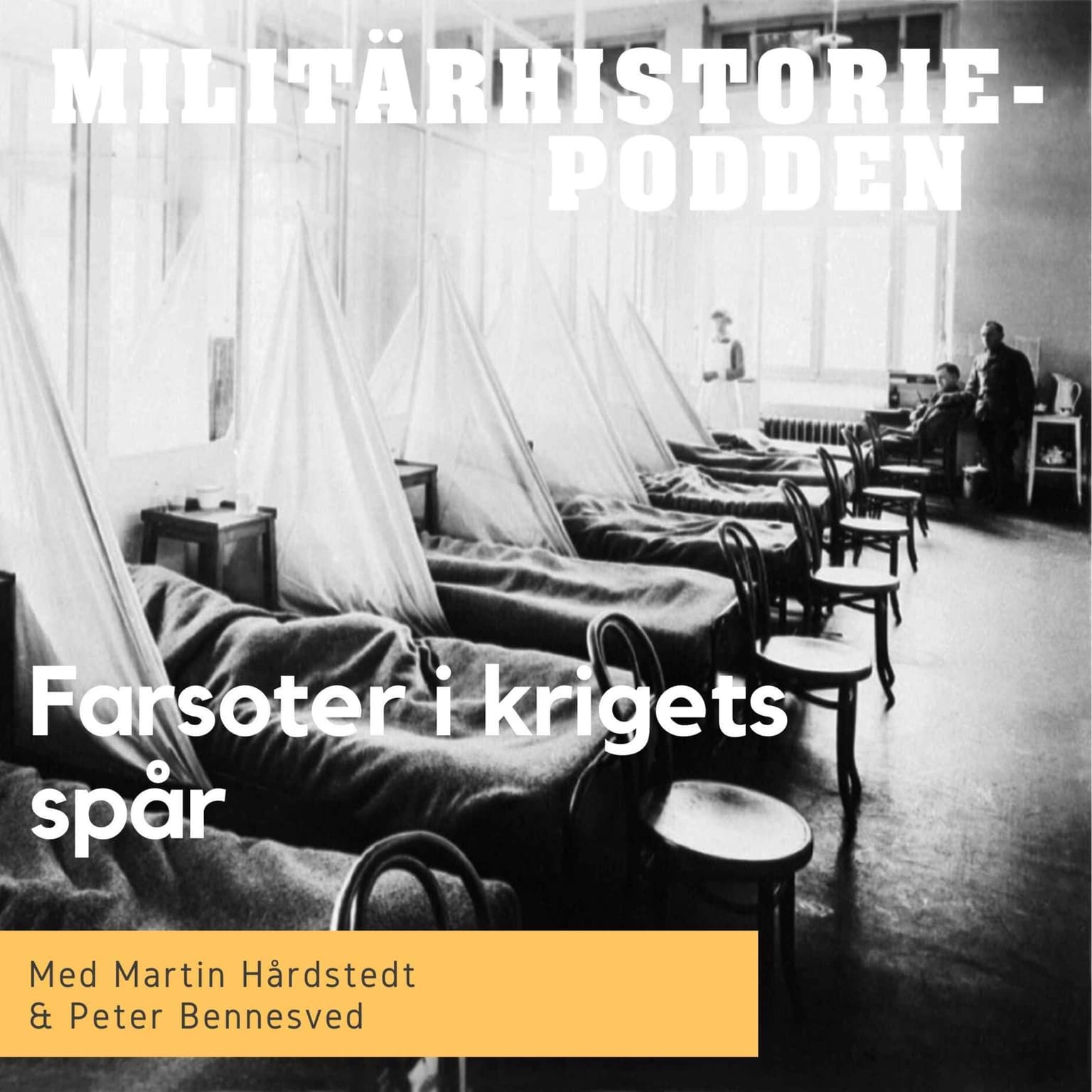 Smittor och farsoter i krigets spår (nymixad repris) artwork