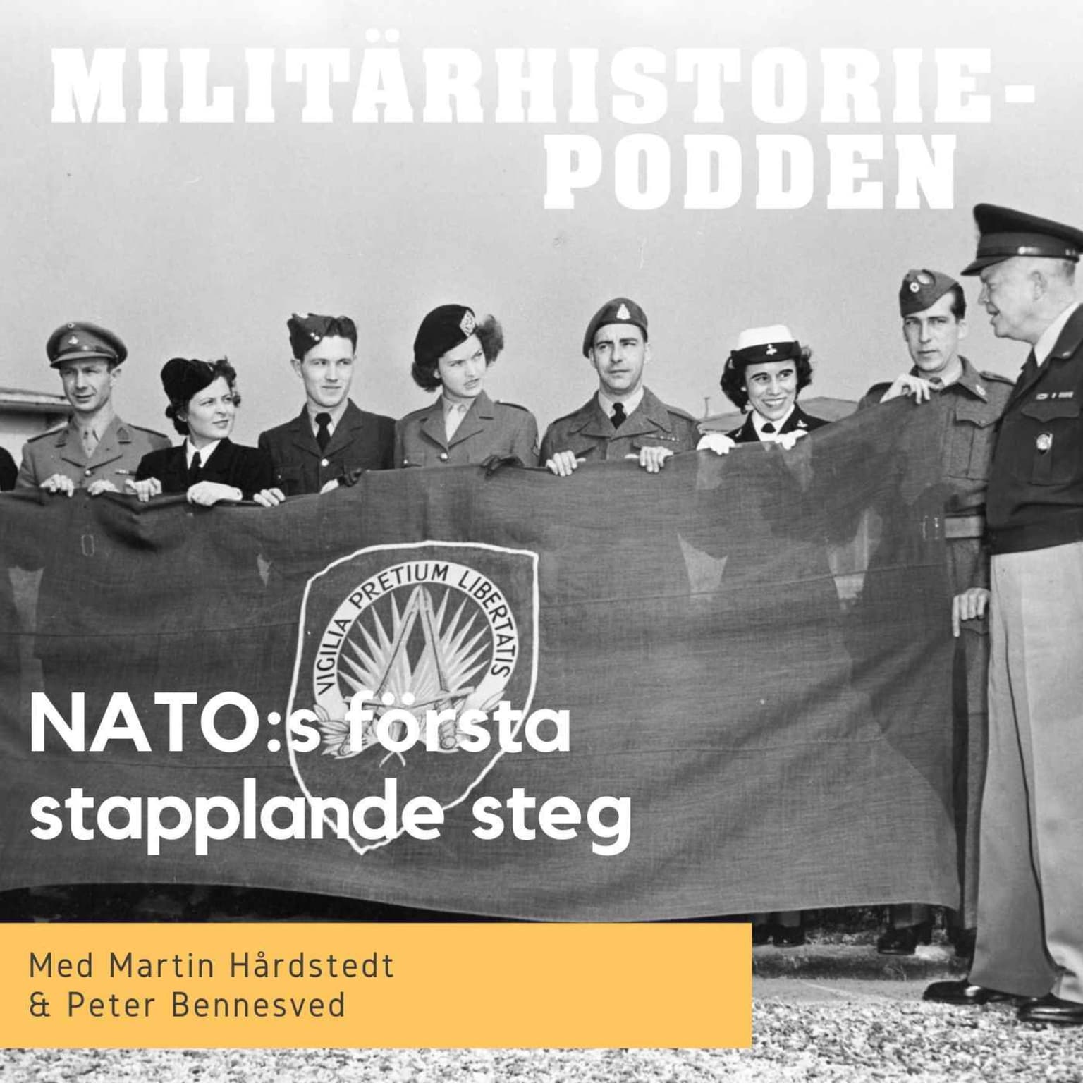 Natos första stapplande år artwork