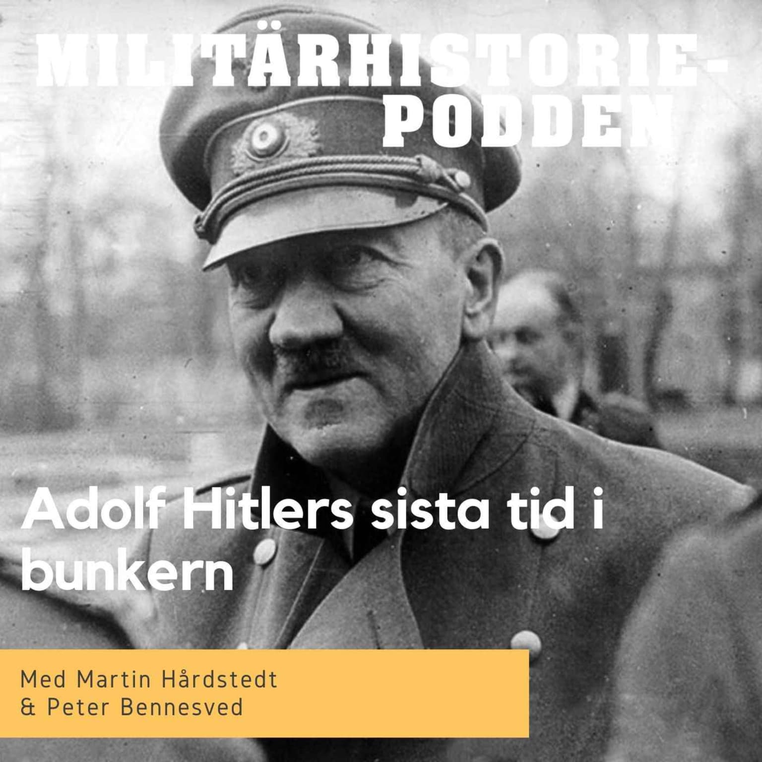 Hitlers sista timmar i bunkern artwork