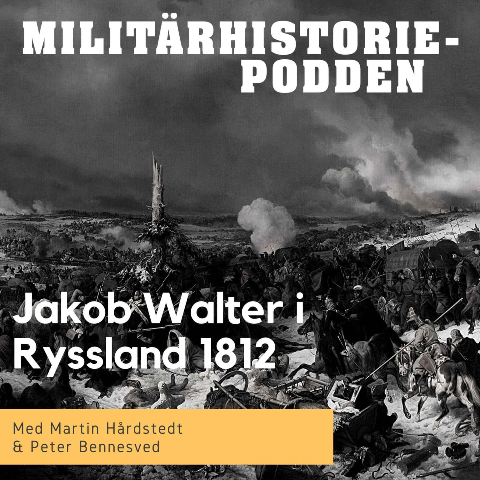 Napoleons fälttåg i Ryssland år 1812 genom menige Jacob Walters ögon (nymixad repris) artwork
