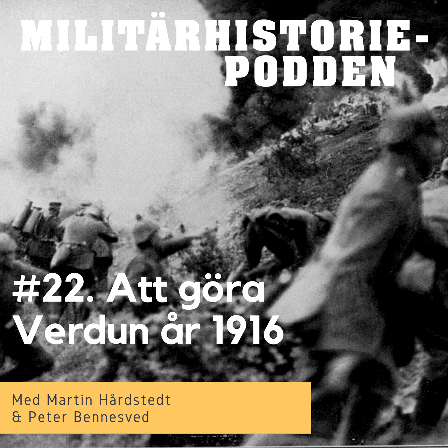Verdun 1916 – tio månader av meningslös död och lidande artwork