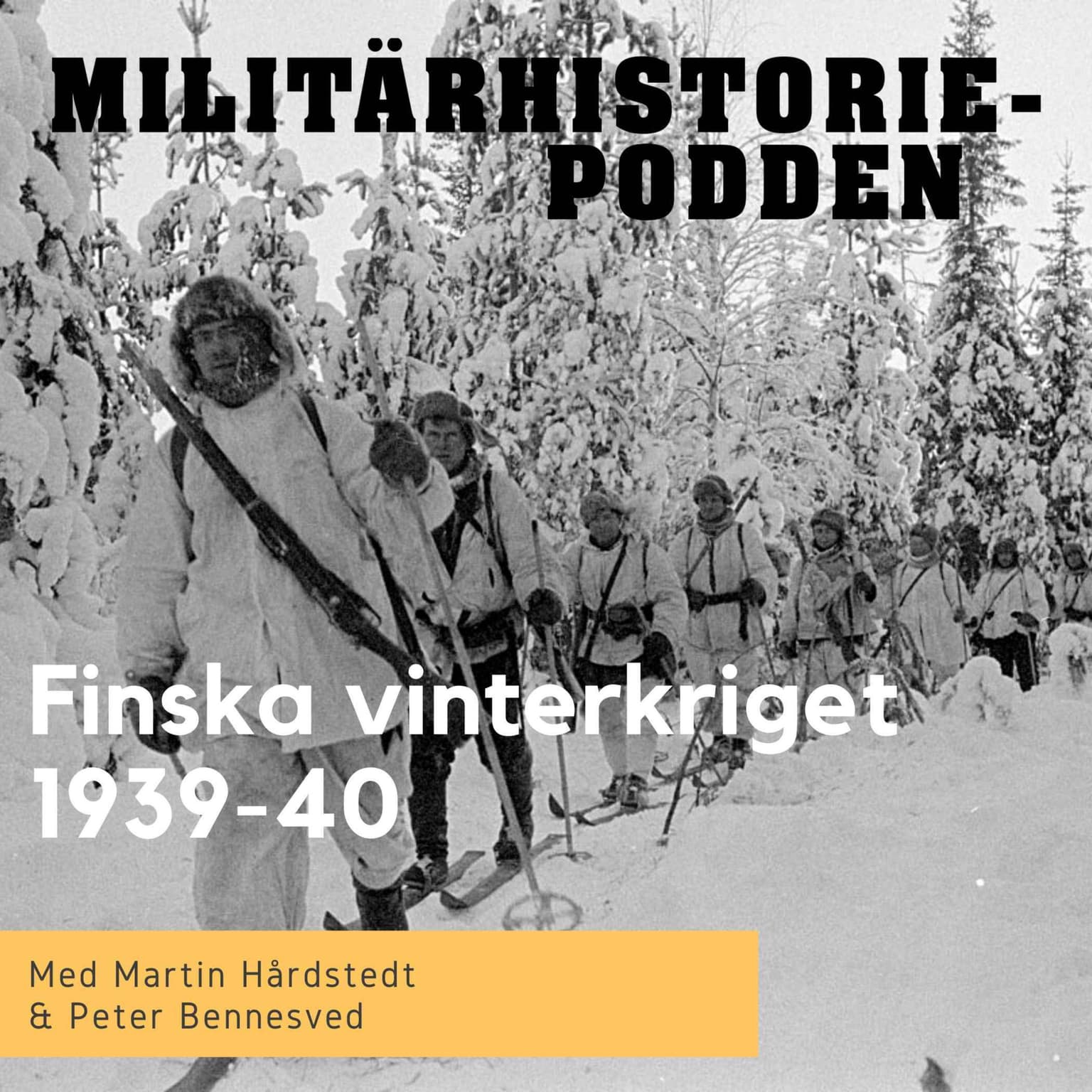 Finska vinterkriget 1939 – en liten nation på randen till undergång (nymixad repris) artwork