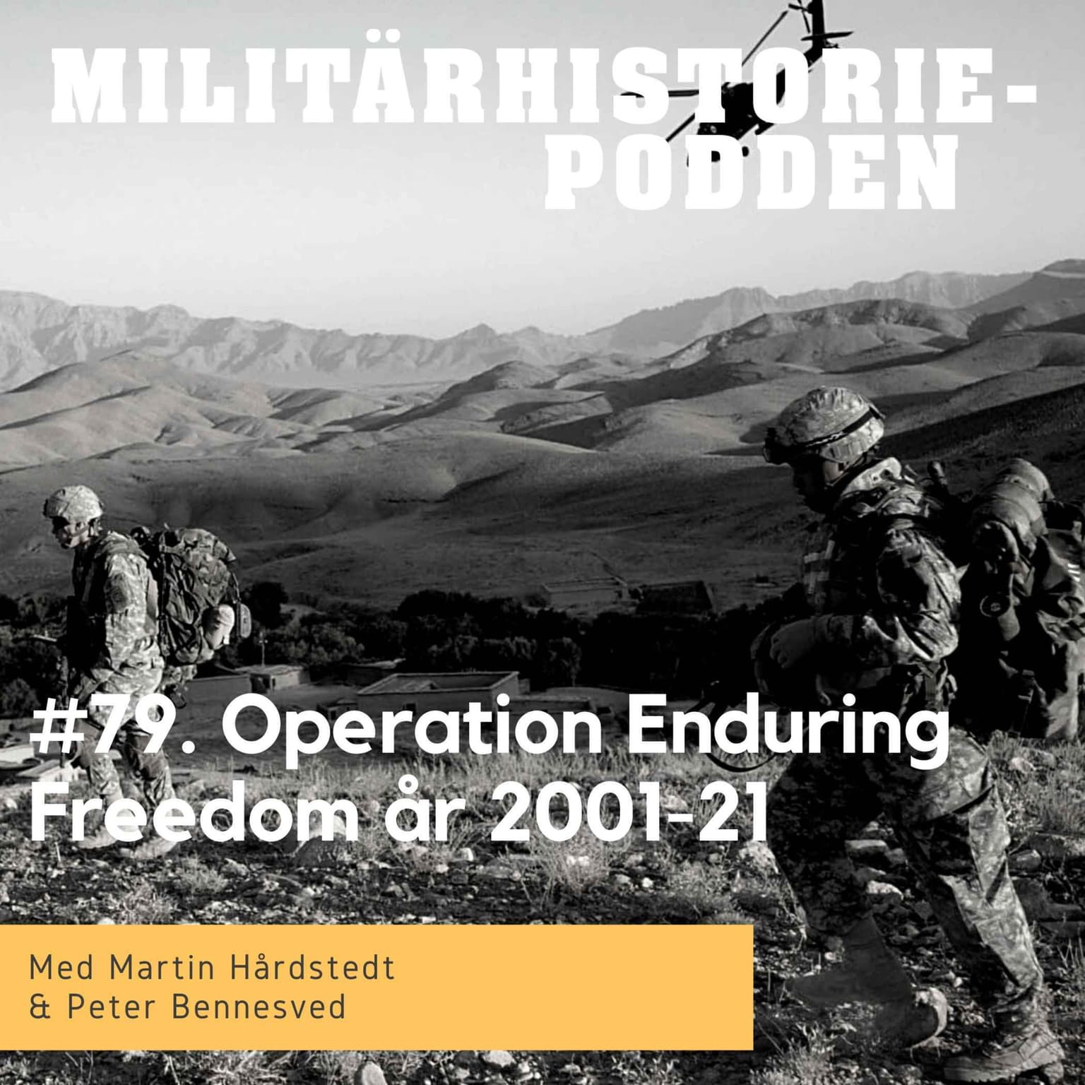 Operation Enduring Freedom - Invasionen av Afghanistan 2001-21 artwork
