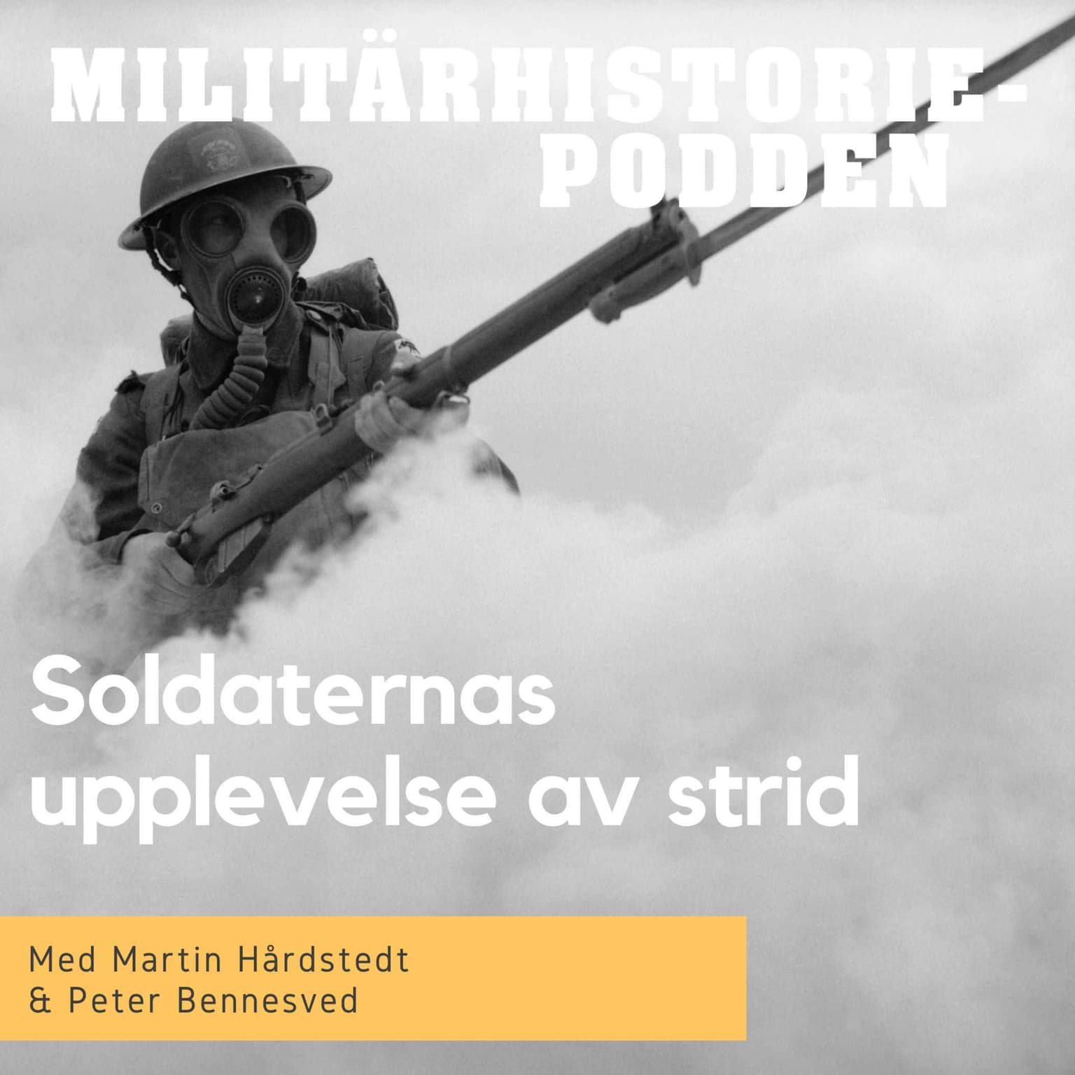 Upplevelser av krig – att dö eller dödas i strid (nymixad repris) artwork