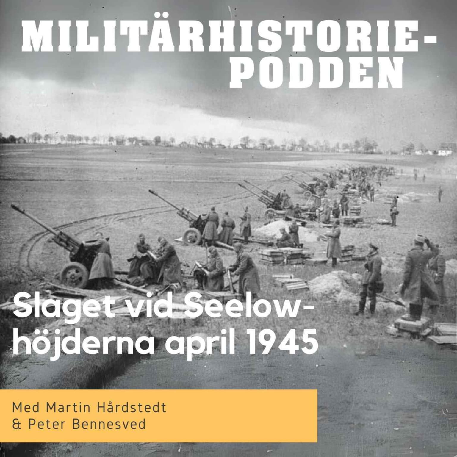Seelowhöjderna april 1945 – Nazitysklands sista desperata försvar artwork