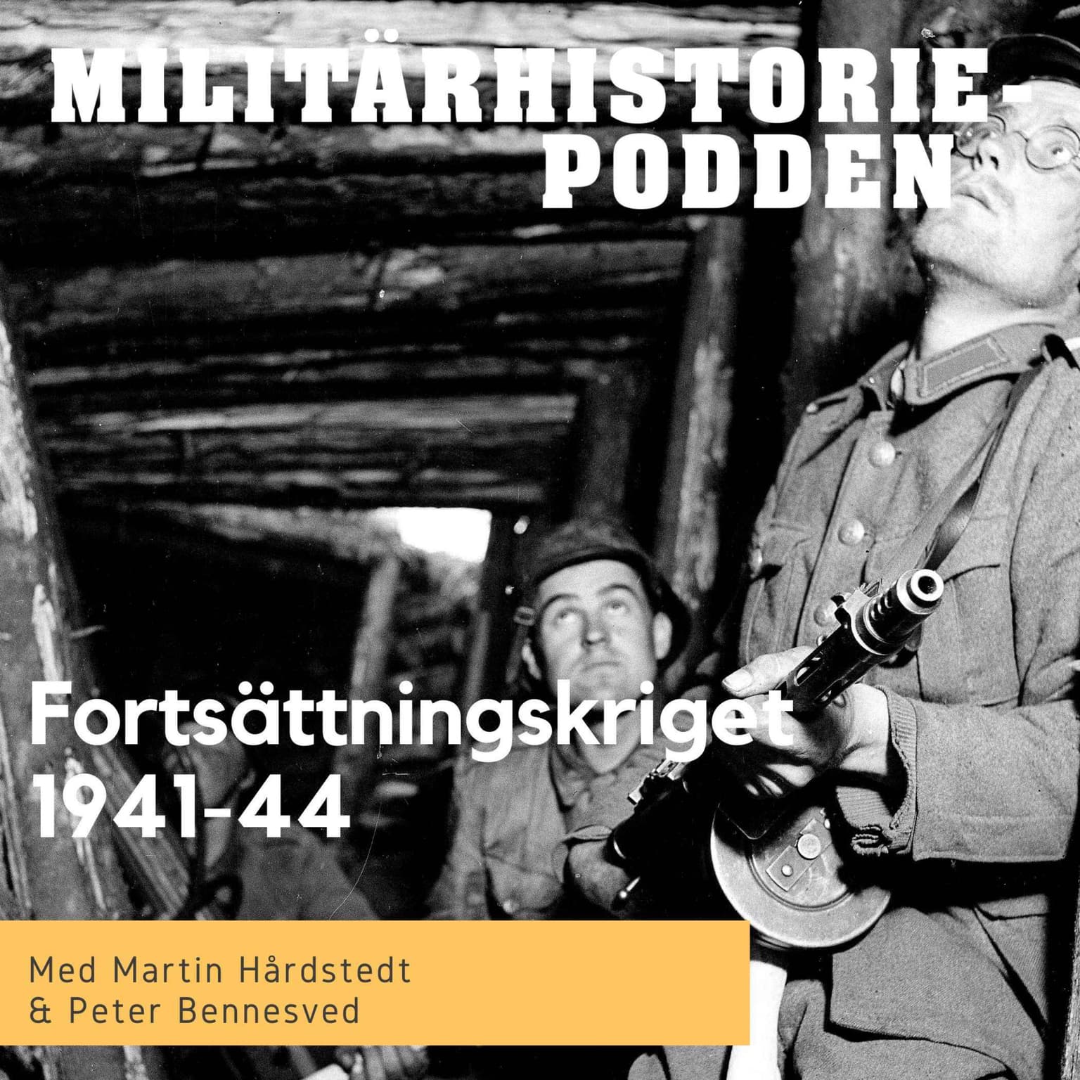 Fortsättningskriget – den finska alliansen med nazityskland (nymixad repris) artwork