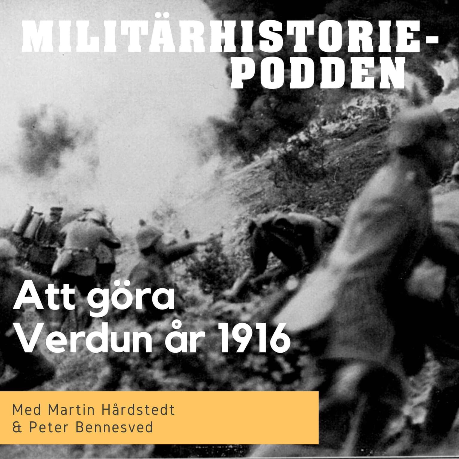 Verdun 1916 – tio månader av meningslös död och lidande (nymixad repris) artwork