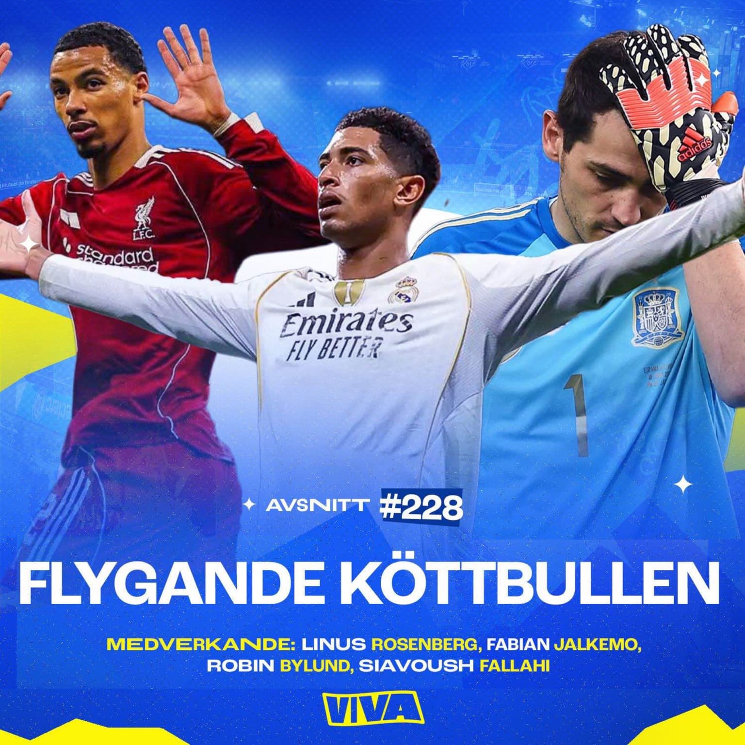 #228 Flygande köttbullen artwork