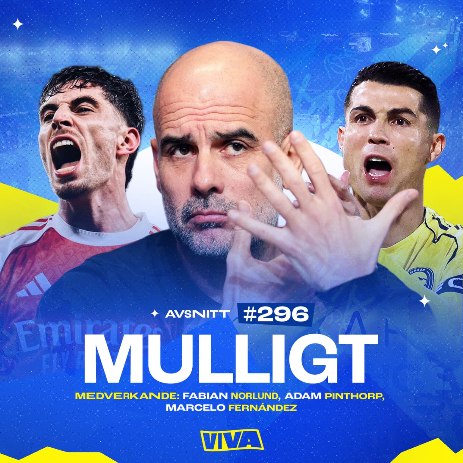 #296 Mulligt artwork