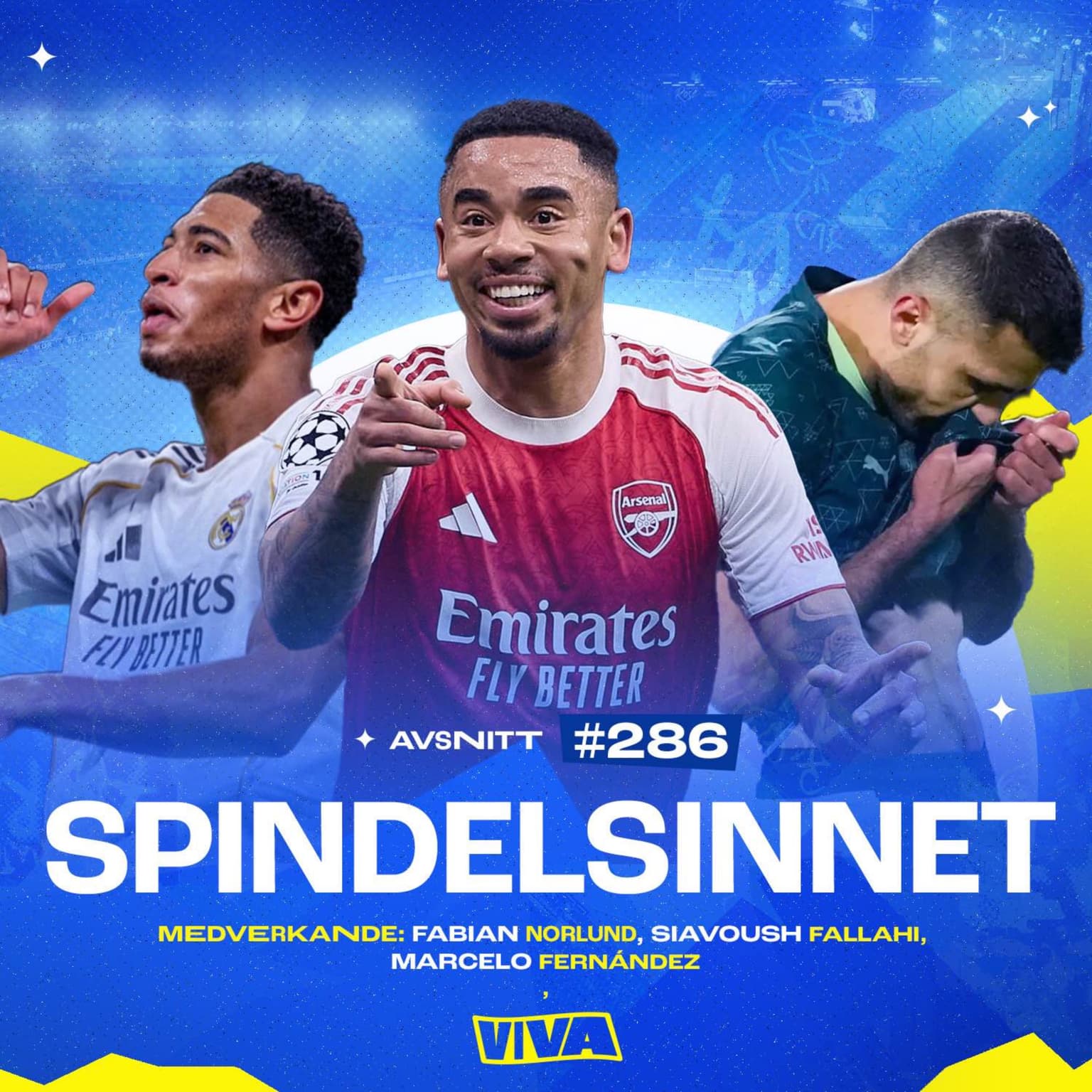 #286 Spindelsinnet artwork