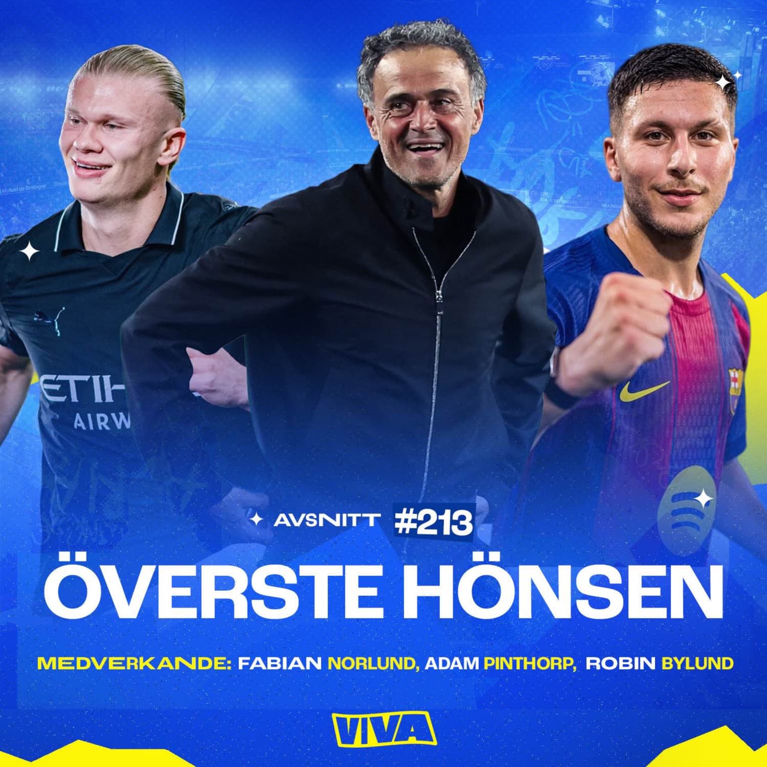 #213 Överste hönsen artwork