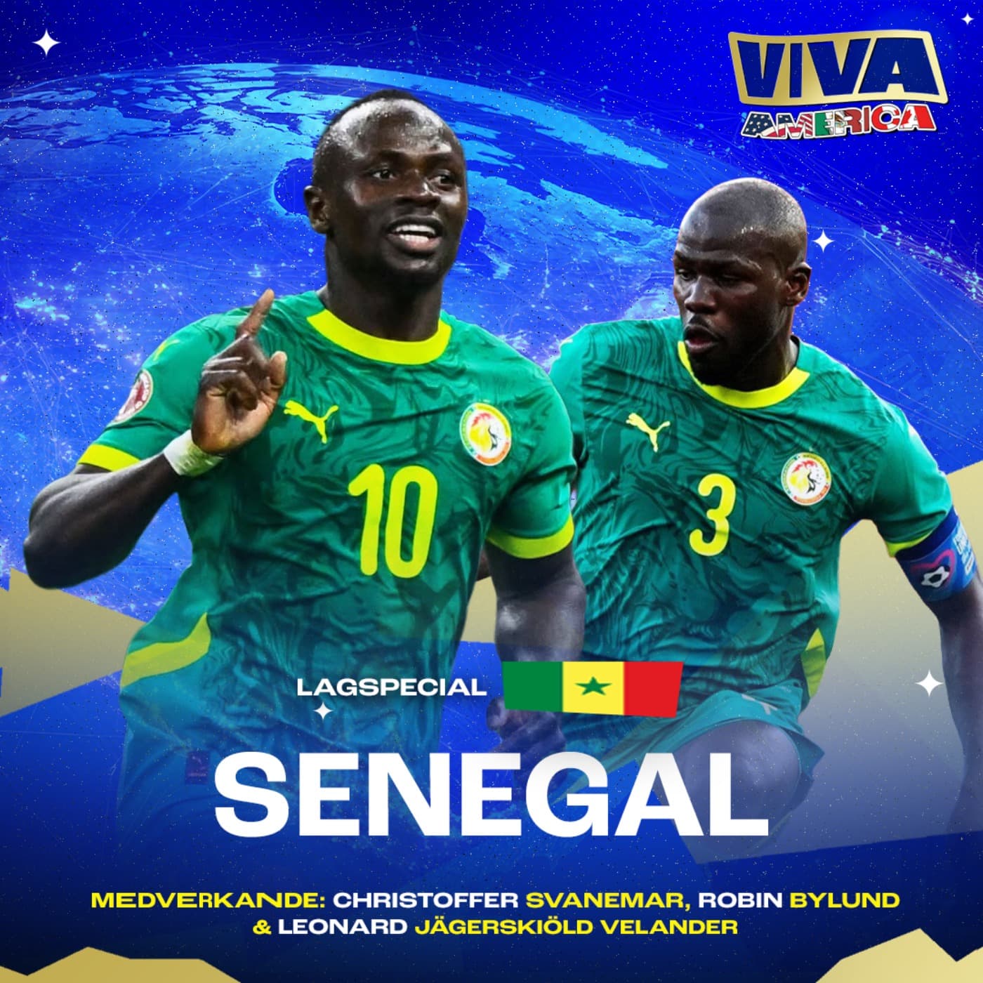 Viva America: Senegal artwork