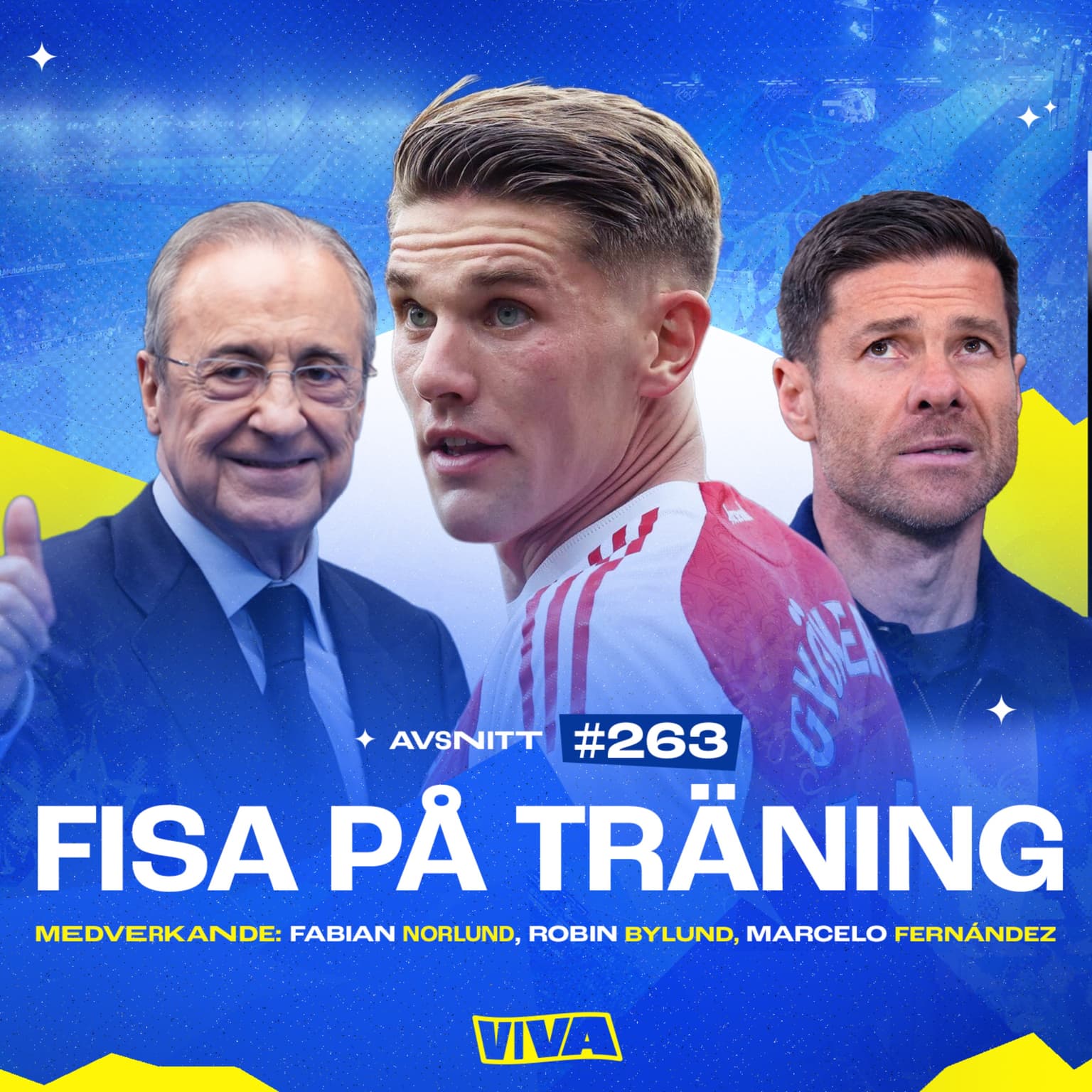 #263 Fisa på träning artwork