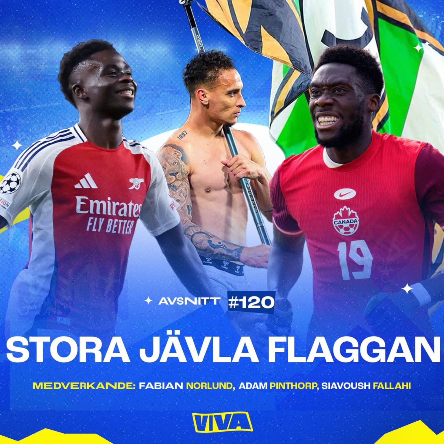 #120 - Stora jävla flaggan artwork