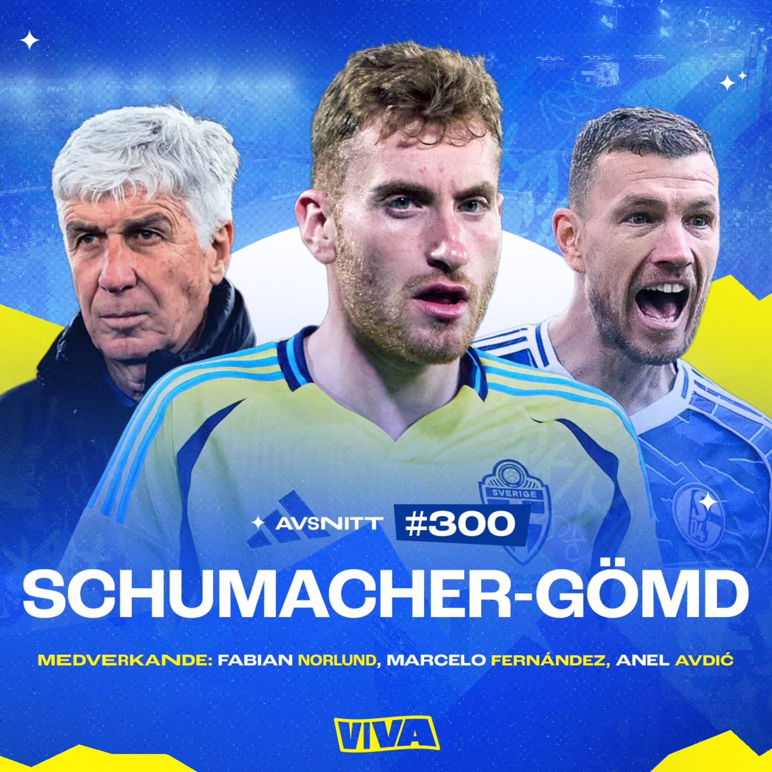 #300 Schumacher-gömd artwork