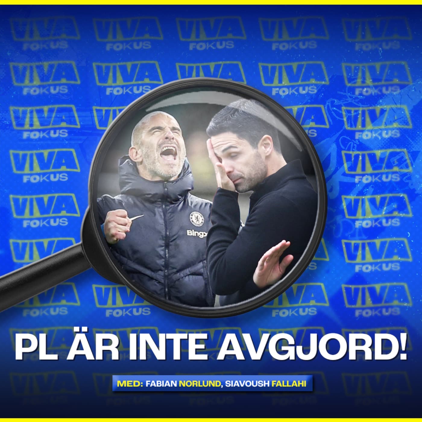 Viva Fokus: PL är inte avgjord! artwork