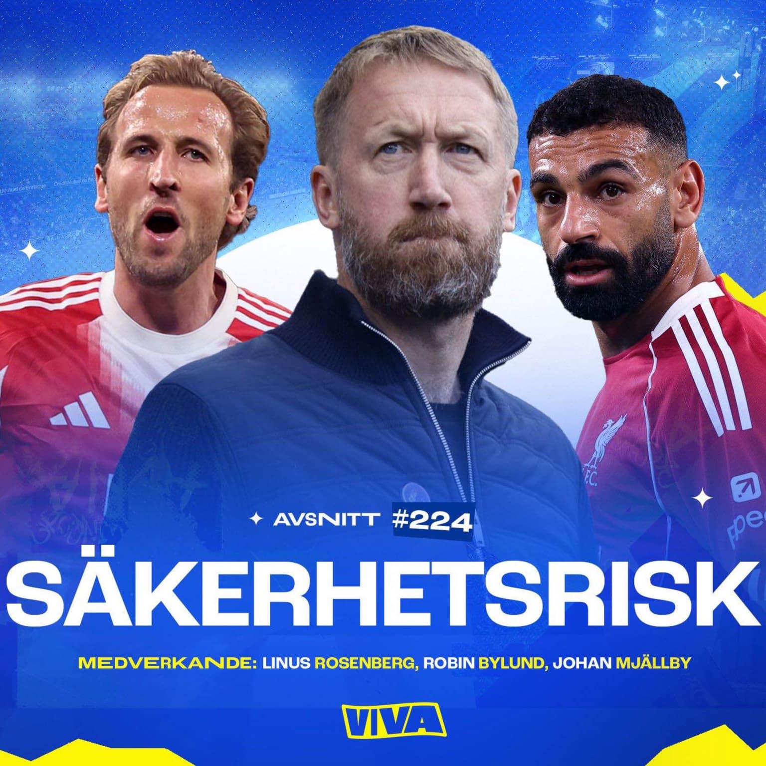 #224 Säkerhetsrisk artwork