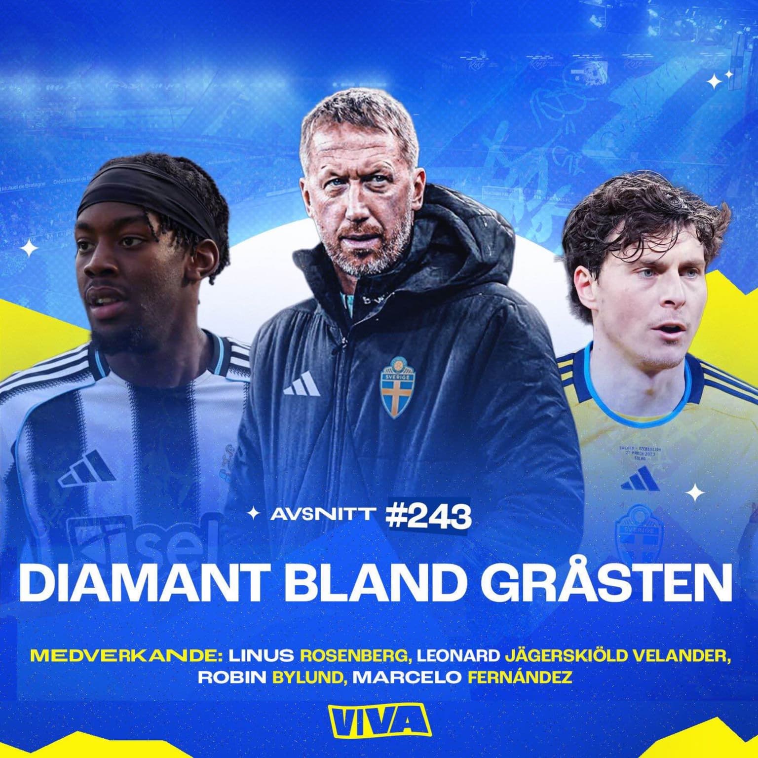 #243 Diamant bland gråsten artwork