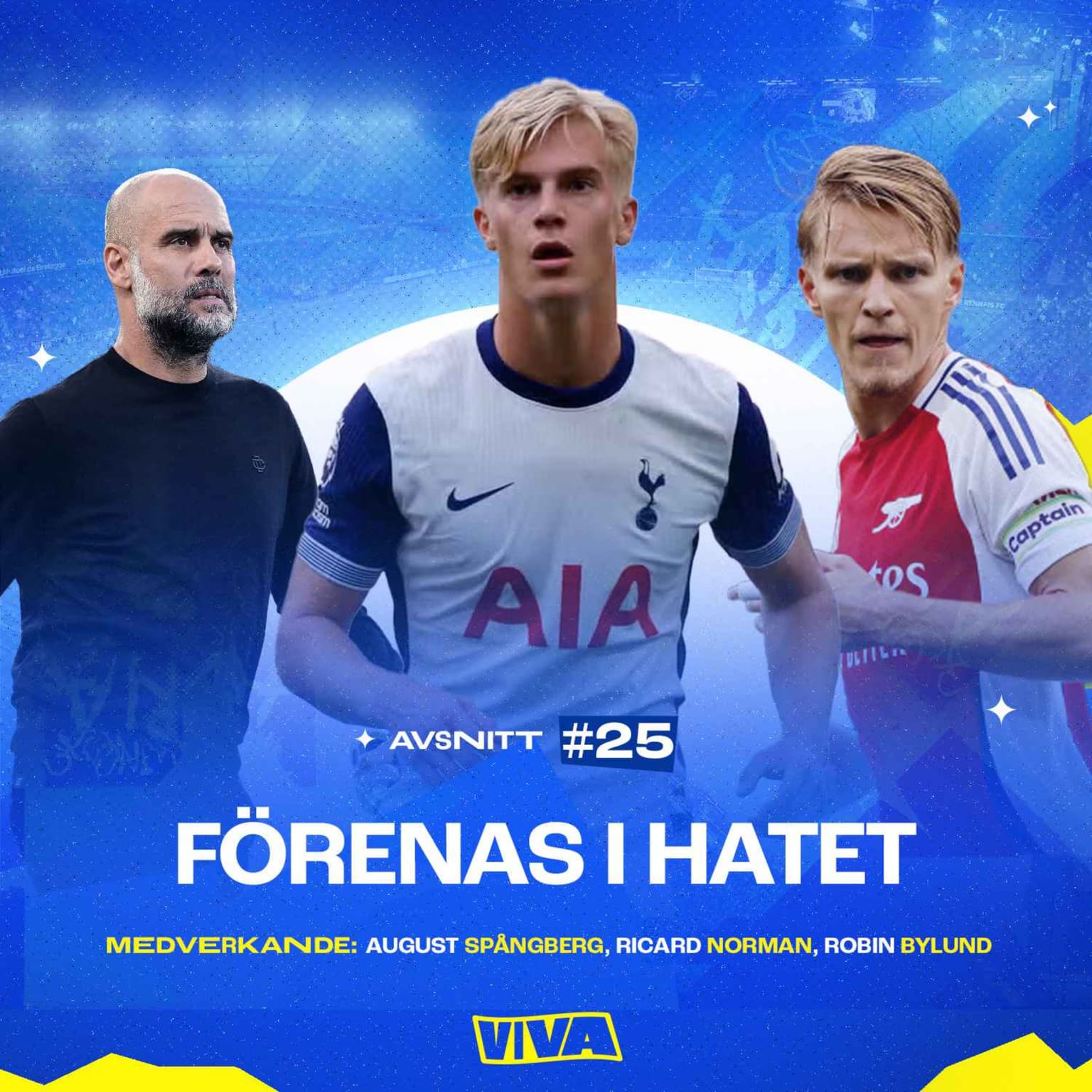 #25 - Förenas i hatet artwork