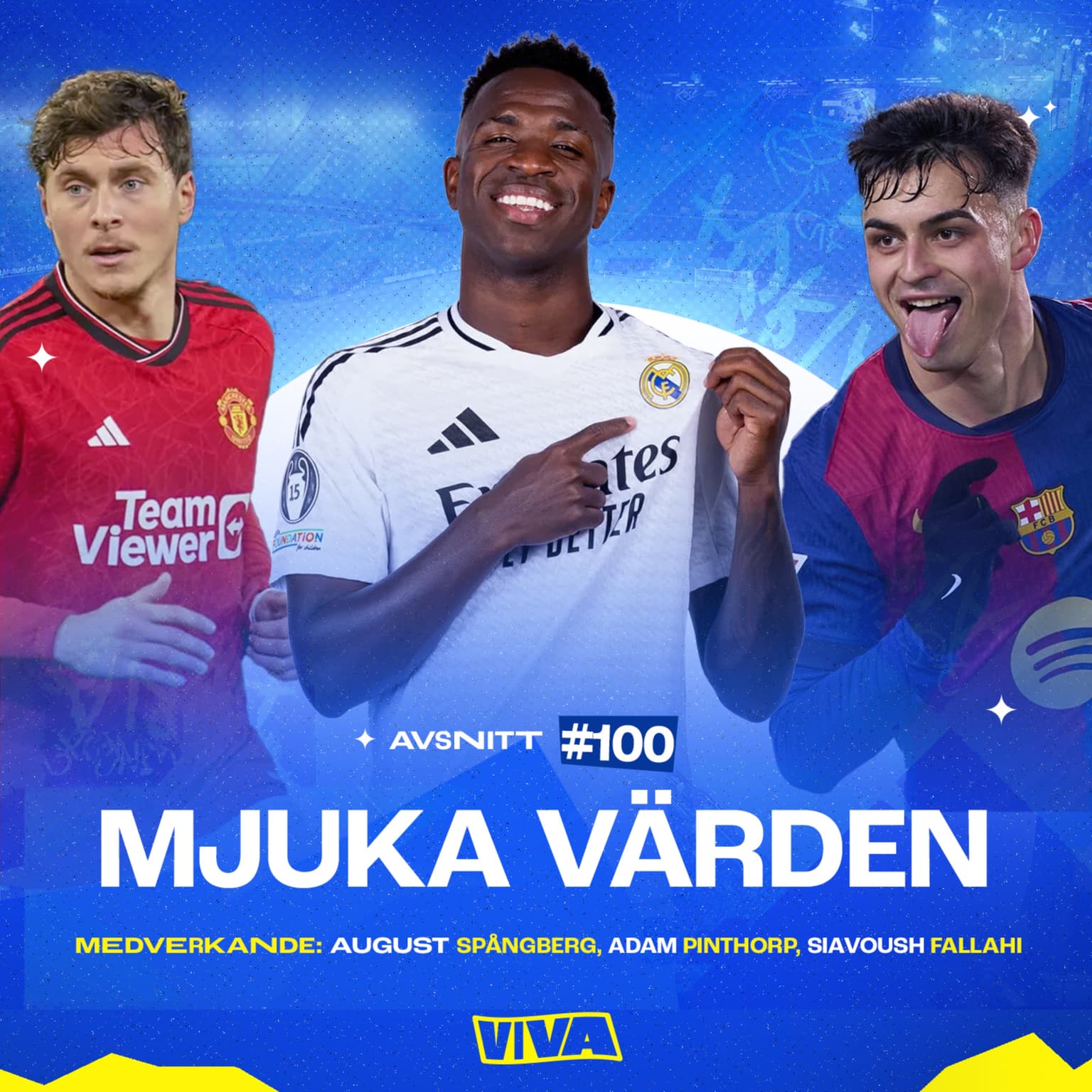 #100 - Mjuka värden artwork