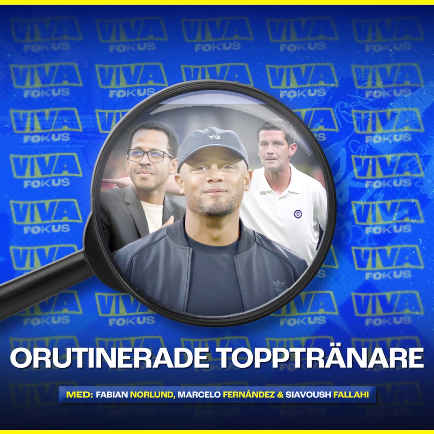 Viva Fokus: Orutinerade topptränare artwork