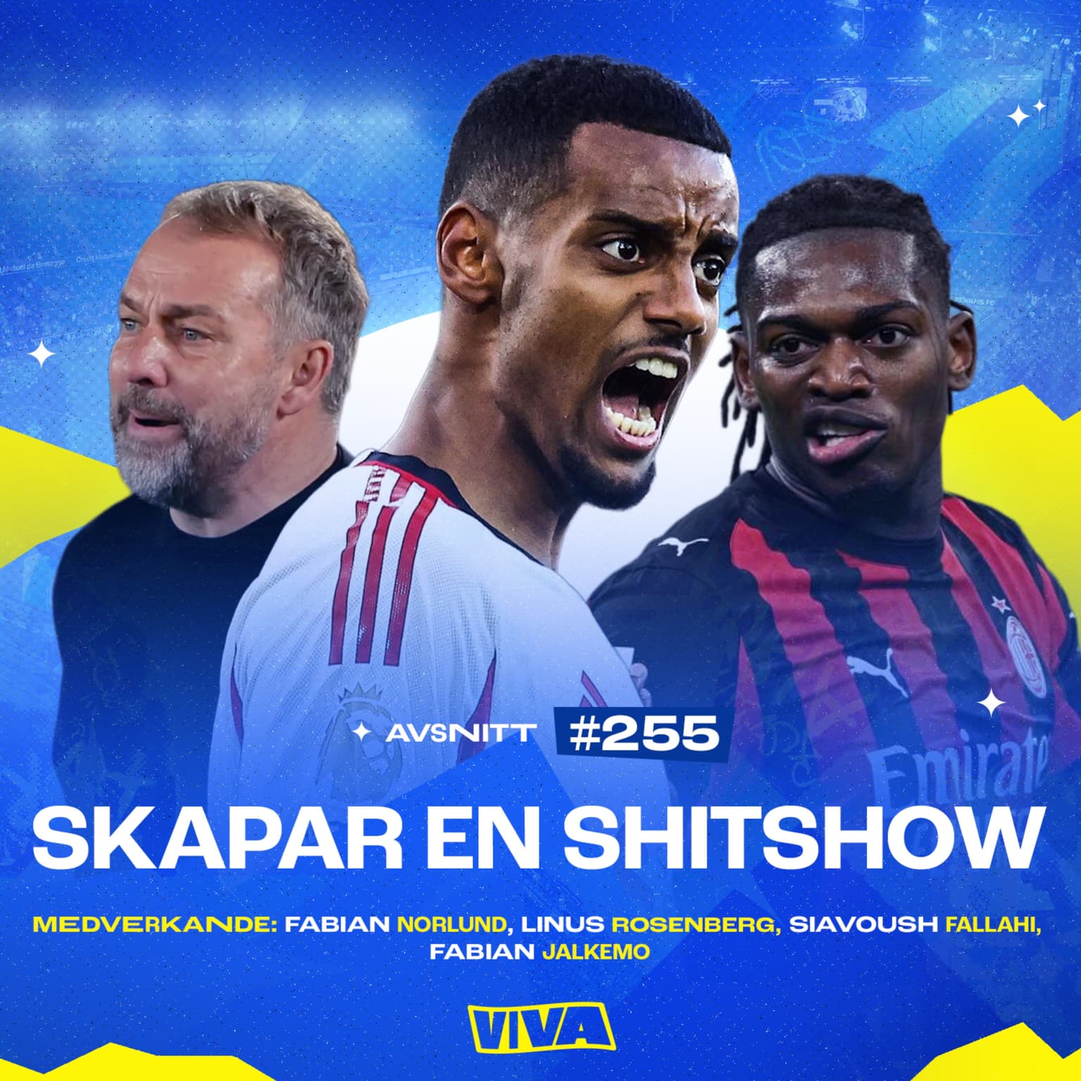 #255 Skapar en shitshow artwork