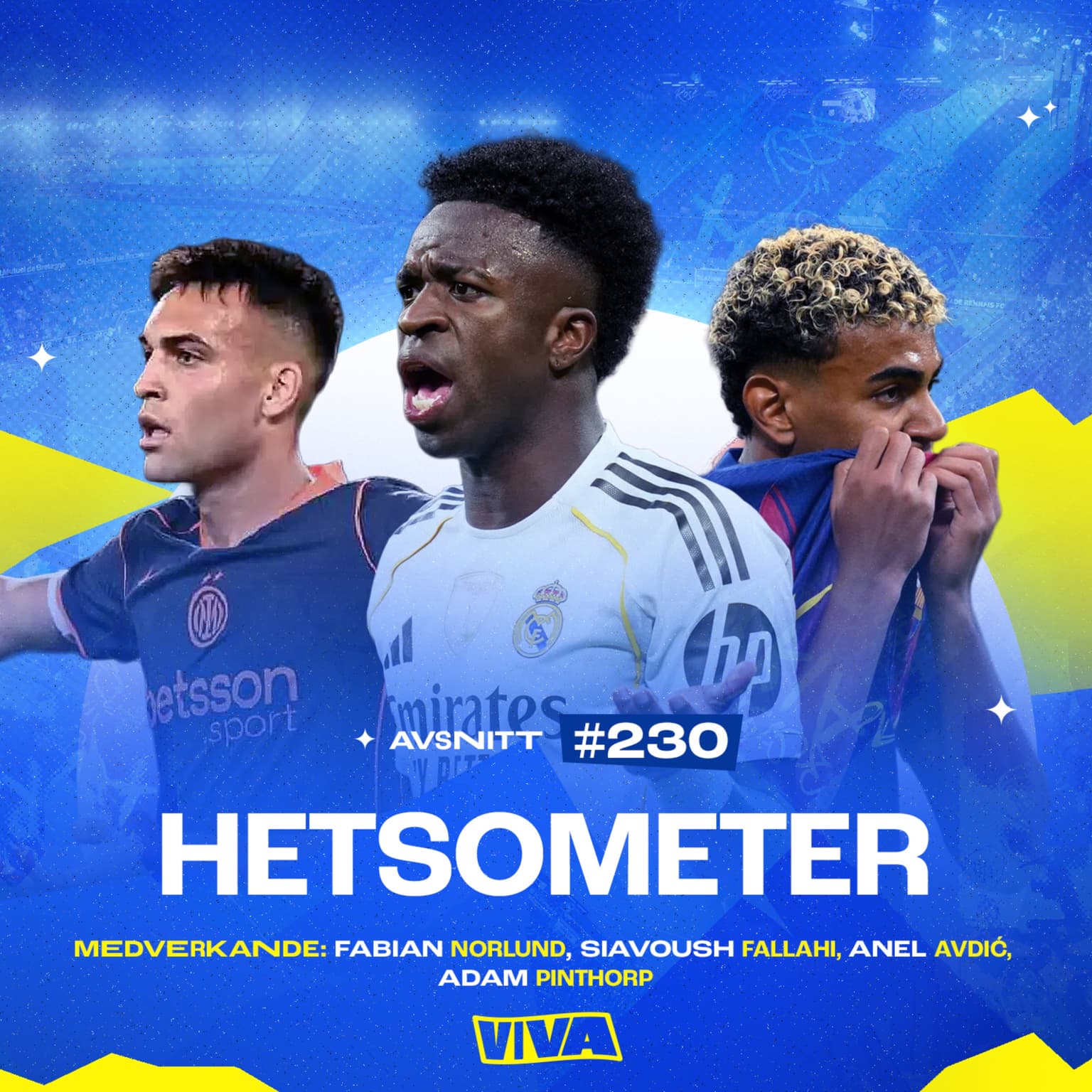 #230 Hetsometer artwork