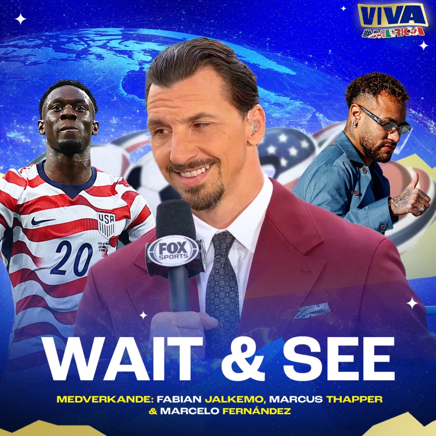 Viva America: Wait & see artwork