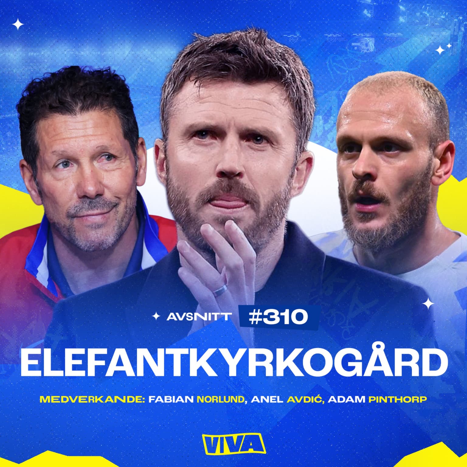 #310 Elefantkyrkogård artwork