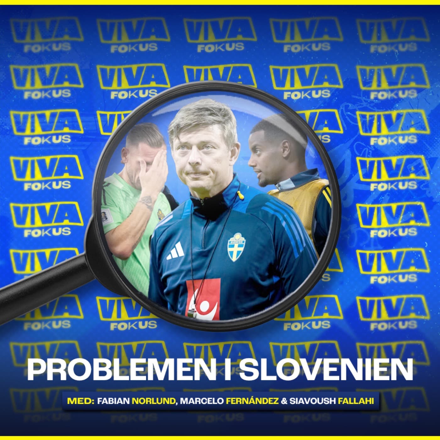 Viva Fokus: Problemen i Slovenien artwork