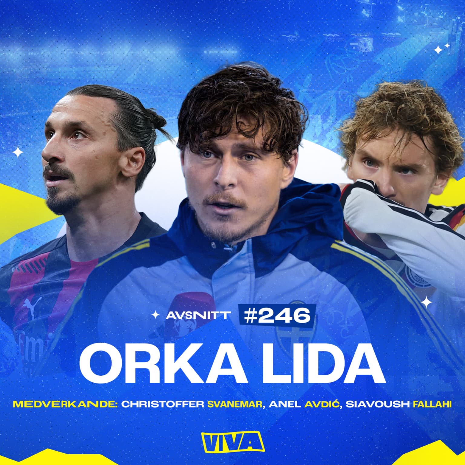 #246 Orka lida artwork