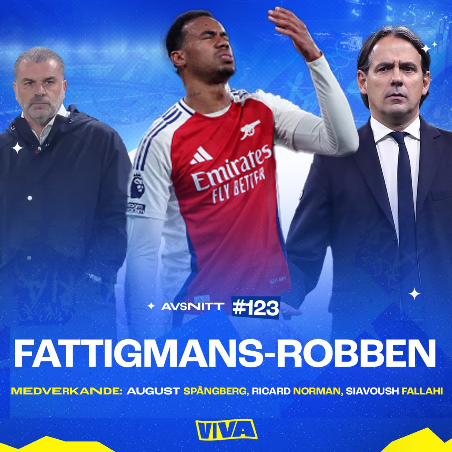 #123 - Fattigmans-Robben artwork
