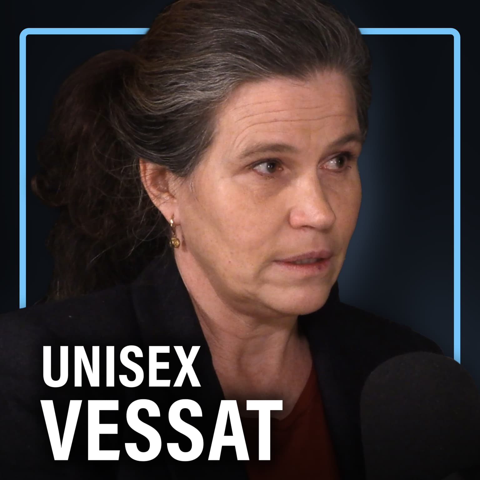 Unisex-vessat, tyttöjen turvallistet tilat ja naisten urheilu (Anna Rotkirch) | Puheenaihe 466 artwork
