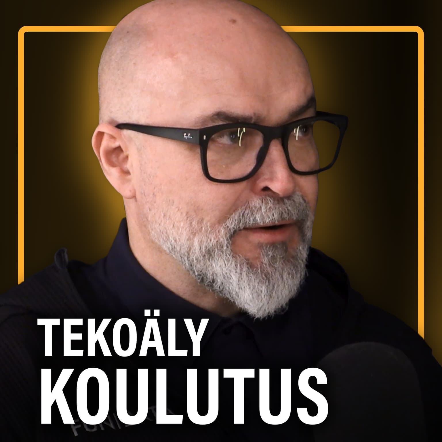 Tekoäly, tiede ja korkeakoulutuksen tulevaisuus (Jarkko Elo) | Kumppani 2 artwork