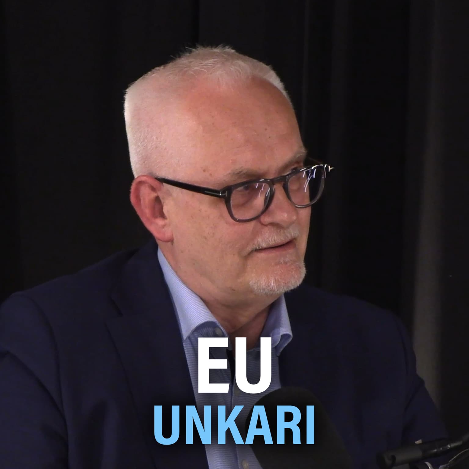 EU: Unkari, oikeusvaltioperiaate ja suvereniteettirahasto (Petri Sarvamaa) | Puheenaihe 345 artwork