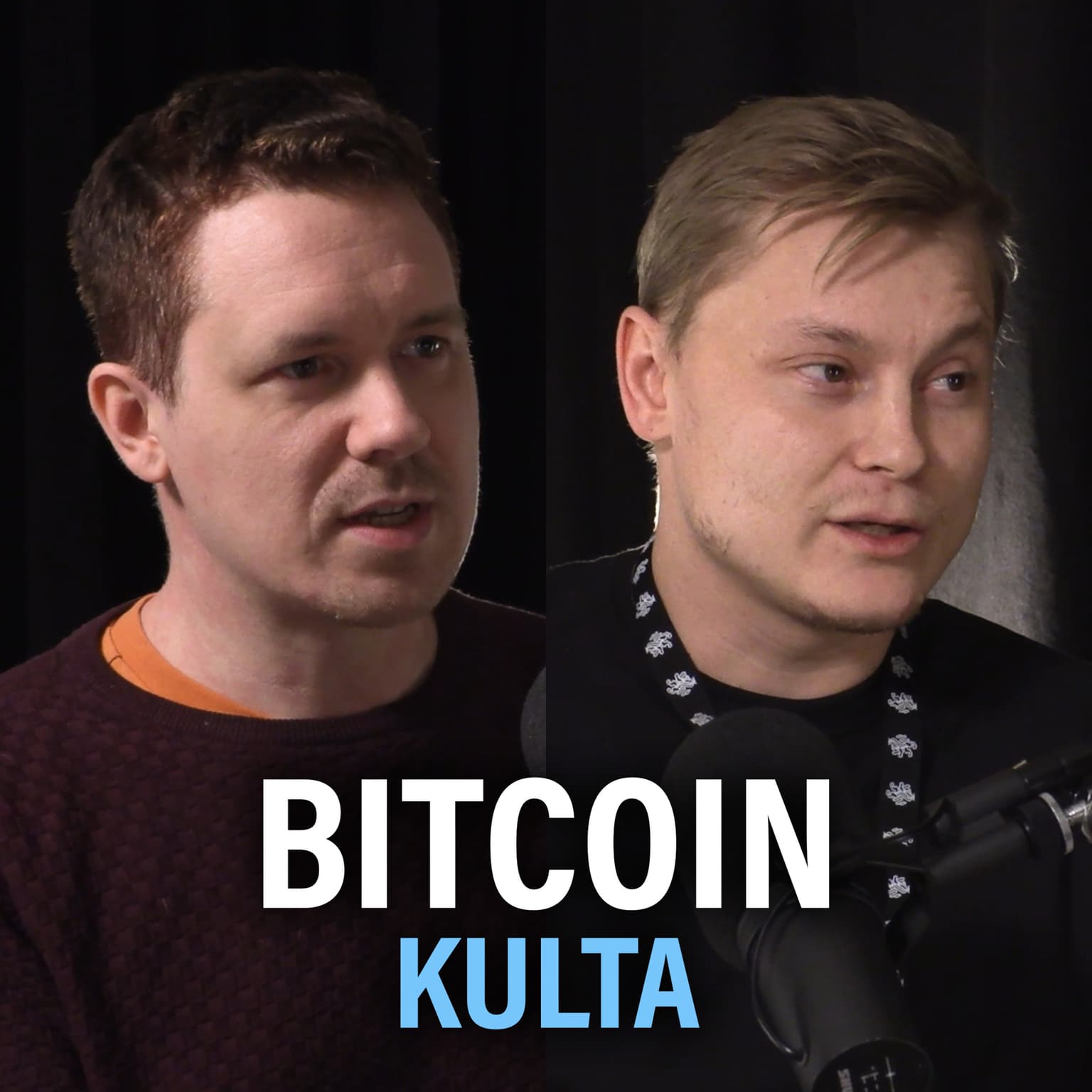 Raha: Bitcoin vs kulta (Henry Brade & Marko Viinikka) | Puheenaihe 192 artwork