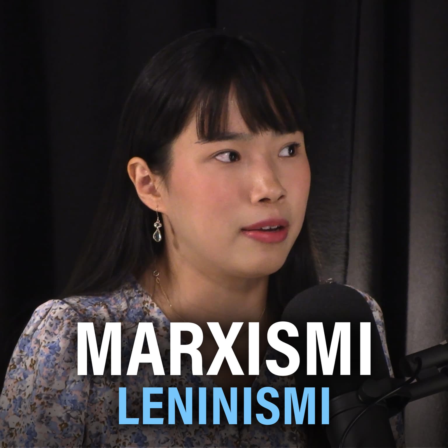 Marxismi-leninismi, sosialismi ja kapitalismi (Binga Tupamäki) | Puheenaihe 377 artwork