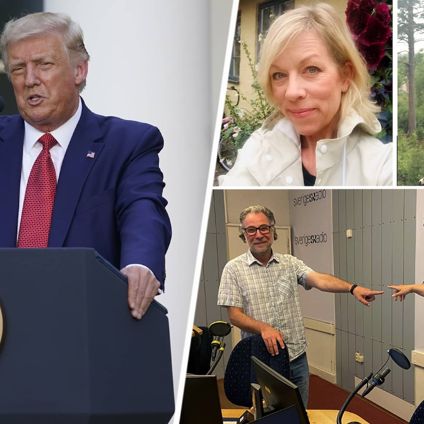 Trump räddar Stone och coronasmittan ökar artwork